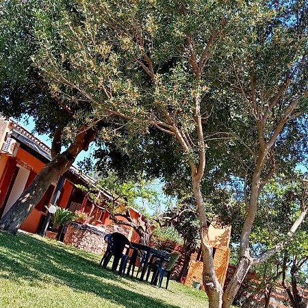 Is Cuccus Bed & Breakfast Masainas Exterior photo