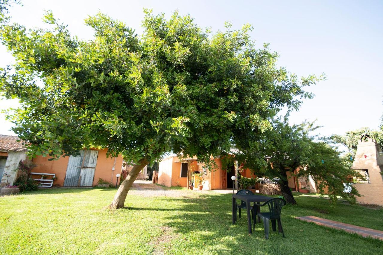 Is Cuccus Bed & Breakfast Masainas Exterior photo