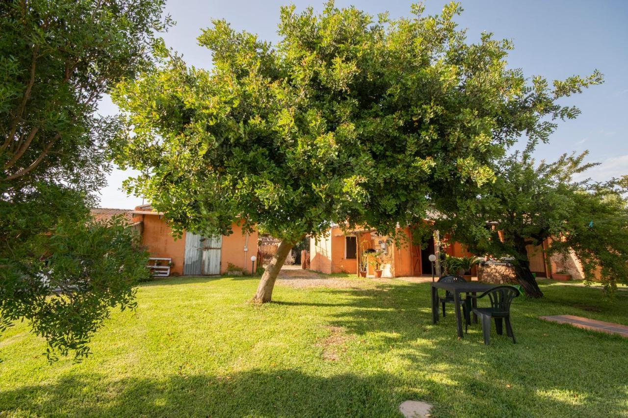 Is Cuccus Bed & Breakfast Masainas Exterior photo