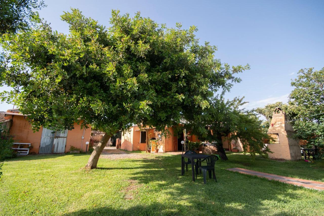 Is Cuccus Bed & Breakfast Masainas Exterior photo